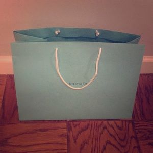 Tiffany & Co. shipping bag large